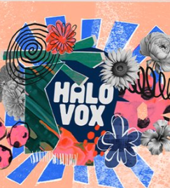 Native Instruments Halo Vox